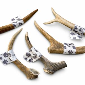 Antler (red)