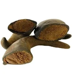 Filled buffalo horn